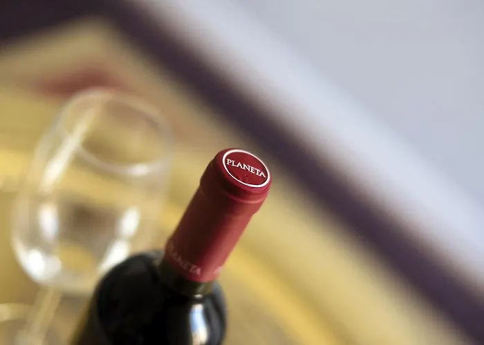 公寓 Palazzo Planeta 巴勒莫